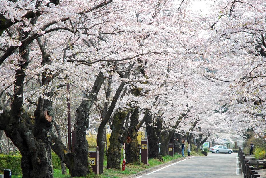 Kunugidaira Hotel Fukushima  Zewnętrze zdjęcie